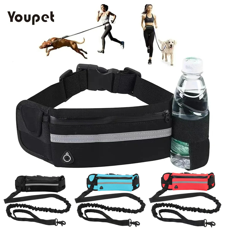 Dog Running Waist Leash Nylon  – обзор и цена Running Gear Holder