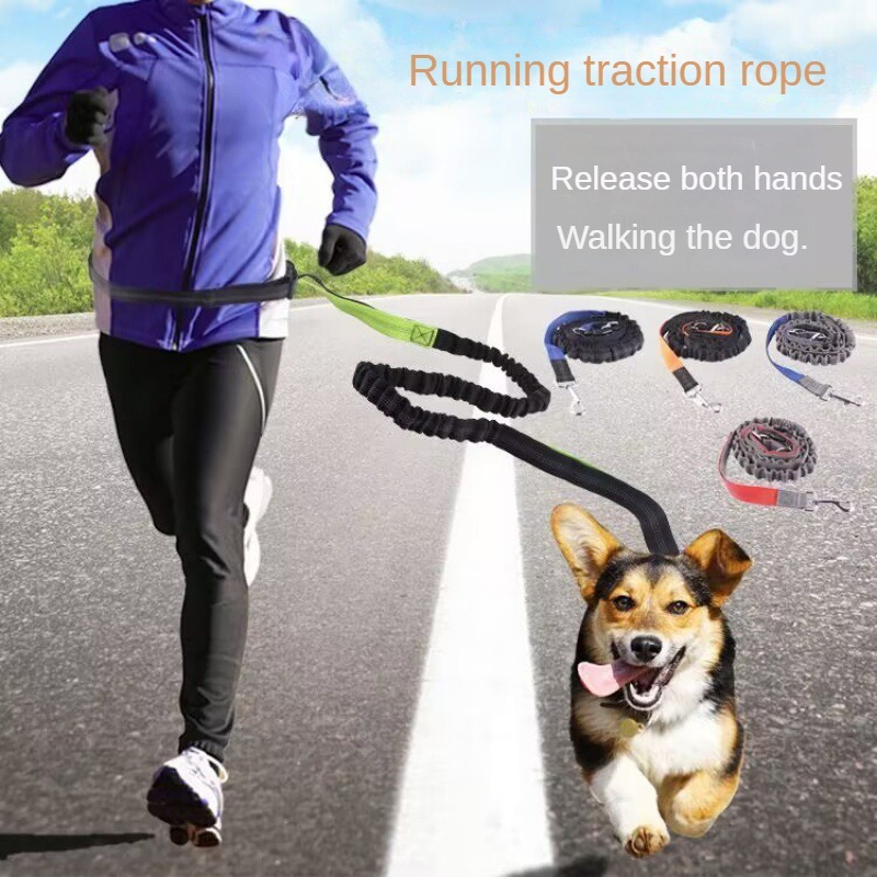 Hand Free Dog Leash for Pet Wa – обзор и цена Running Gear Holder