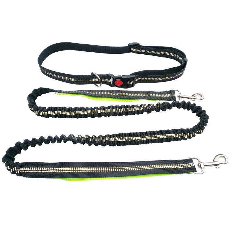 Hand Free Dog Leash for Pet Wa – обзор и цена Running Gear Holder