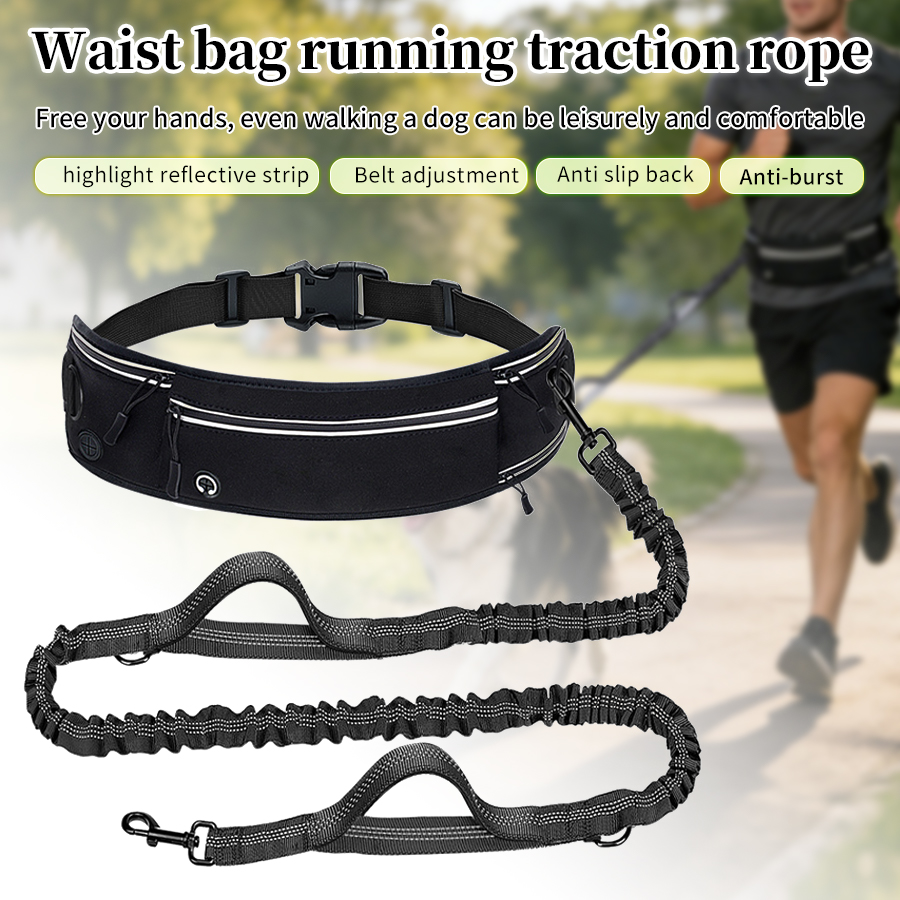Foldable Reflective Dog Leash  – обзор и цена Running Gear Holder