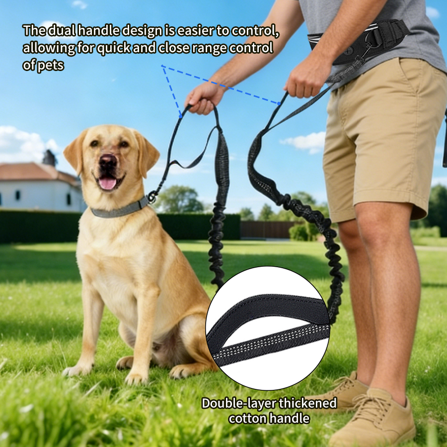 Foldable Reflective Dog Leash  – обзор и цена Running Gear Holder